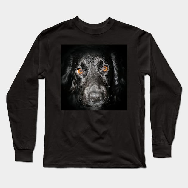 Doggo Long Sleeve T-Shirt by Jez22 